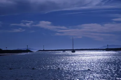 DSC_0803 (Large).JPG